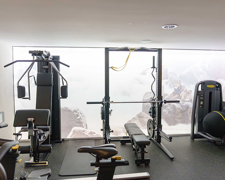 Exklusiv ausgestattetes Fitnessstudio mit Blick auf alpine Bergkulisse für Premium Personal Training in der Region Thun
