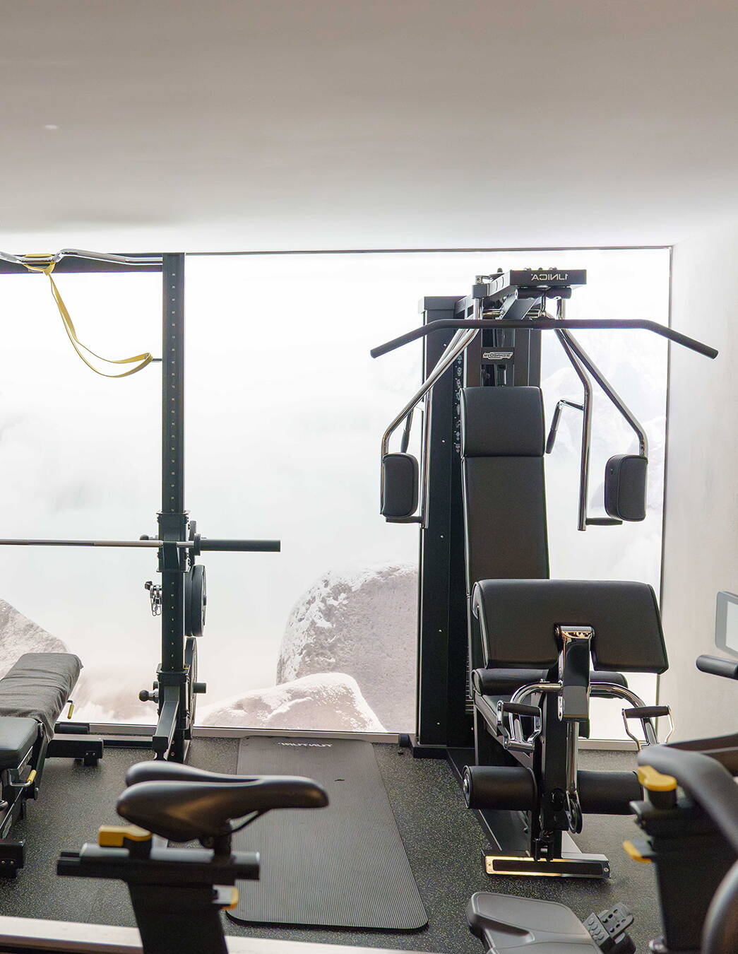 Exklusiv ausgestattetes privates Fitnessstudio von Jacqueline Moser in Sigriswil mit Blick auf alpine Bergkulisse – PREMIUM Personal Training Regionen Thun, Spiez, Interlaken und Bern